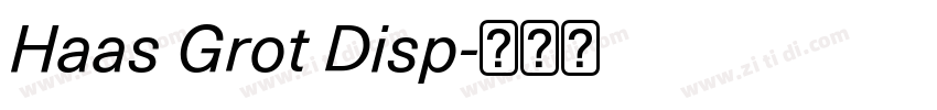 Haas Grot Disp字体转换